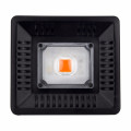 Hot sale 50w cob Led Grow Light